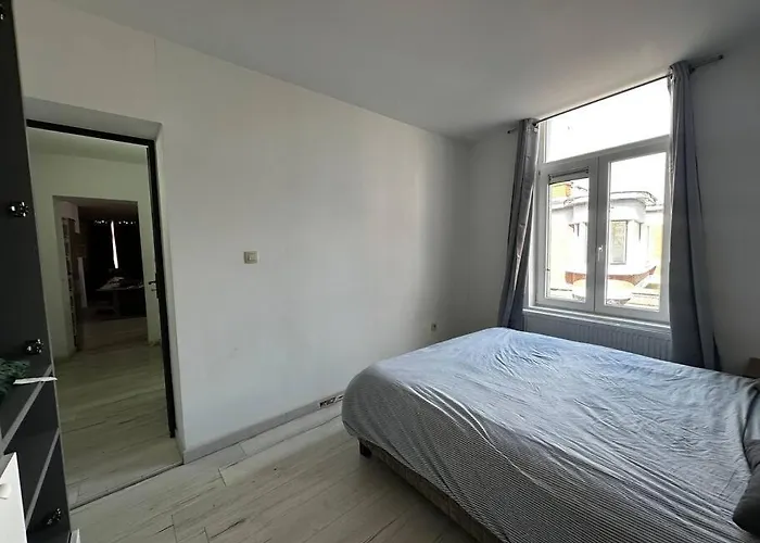 Appartement Grand Cosy Et Lumineux *