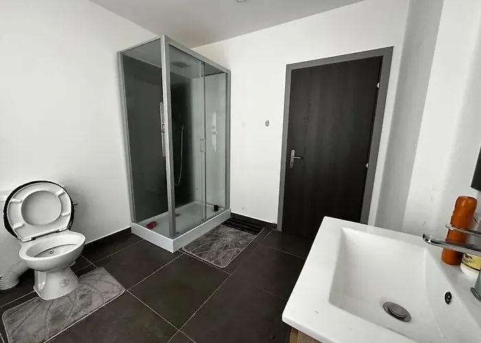 Appartement Grand Cosy Et Lumineux